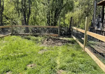 Expert Landscape Company