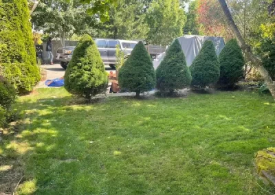 Professional Landscape Services
