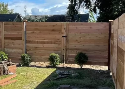 Professional Landscape Services