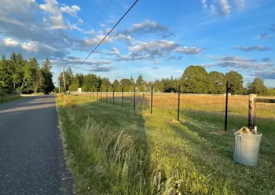 Professional Landscape Services