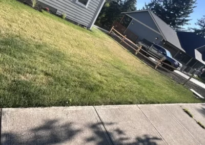 Professional Landscape Services