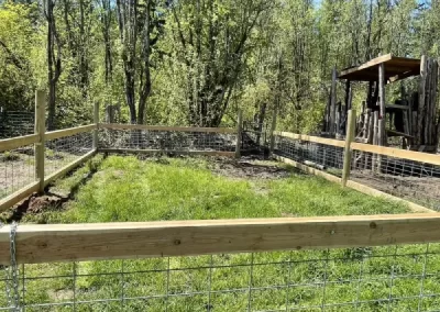 Professional Landscape Services