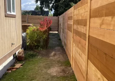 Professional Landscape Services