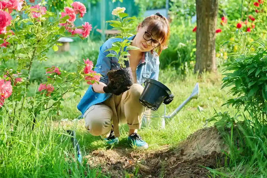 How Gardening Services Improve Plant Longevity And Growth Centralia, WA