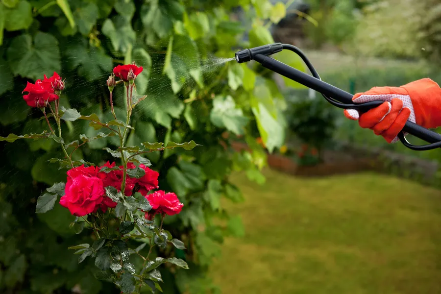 The Importance Of Seasonal Maintenance In Gardening Services Centralia, WA