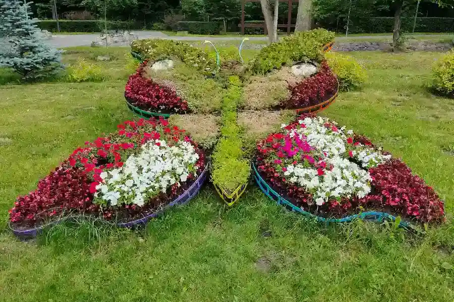 The Role Of Soil Quality In Landscape Installation Success in Centralia, WA